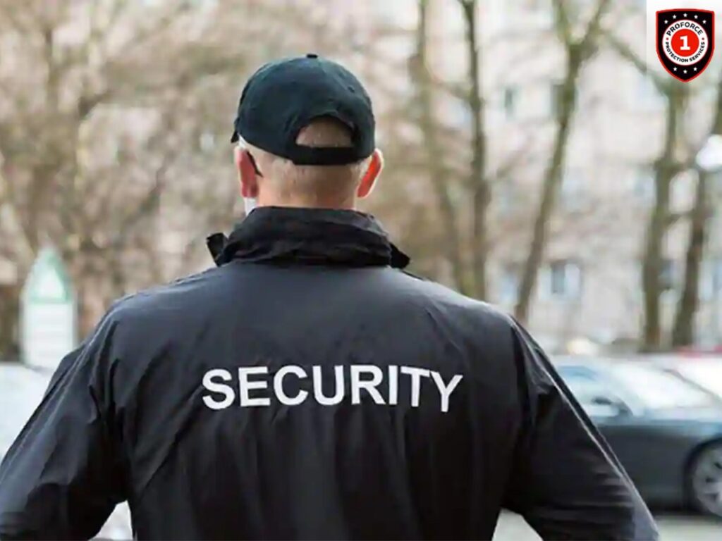 Auto Dealership Security