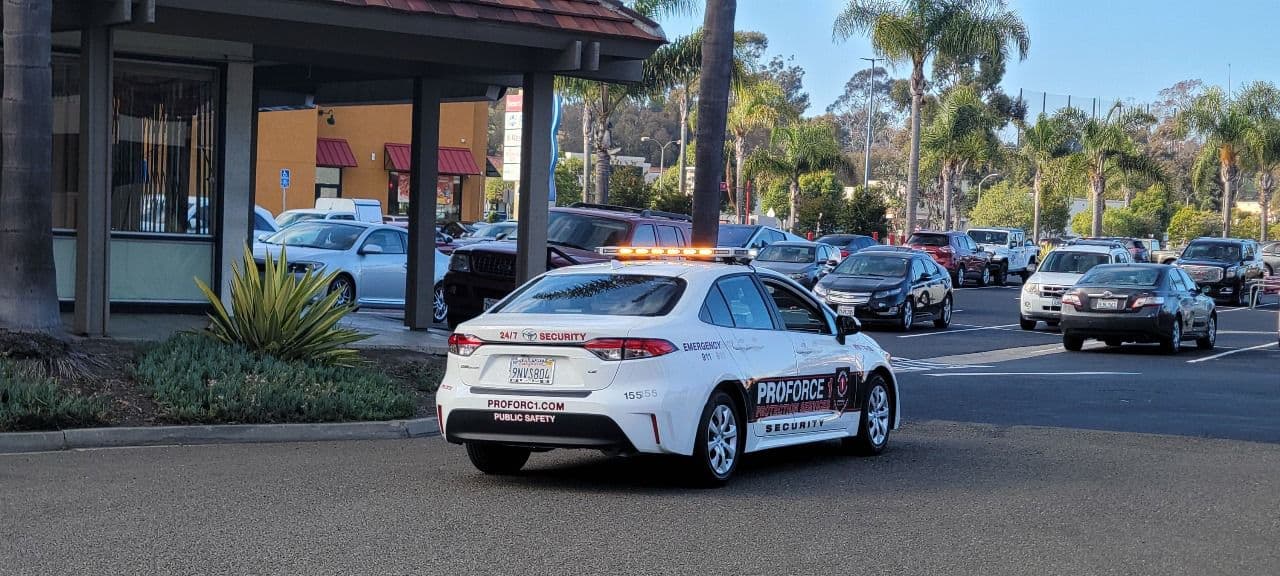 Proforce 1 High-Risk Security Team