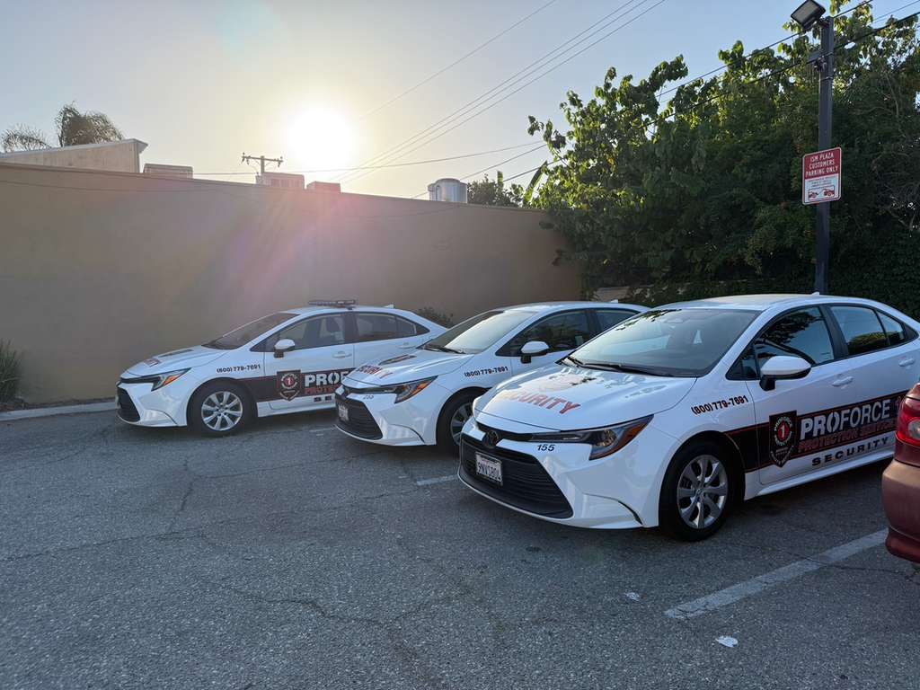 Top 10 Security Measures Every Business Should Implement in 2024