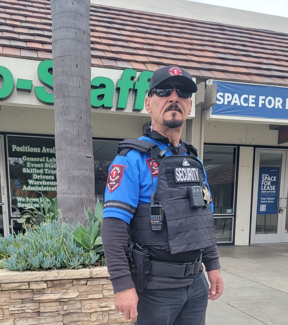 Shopping Center Security